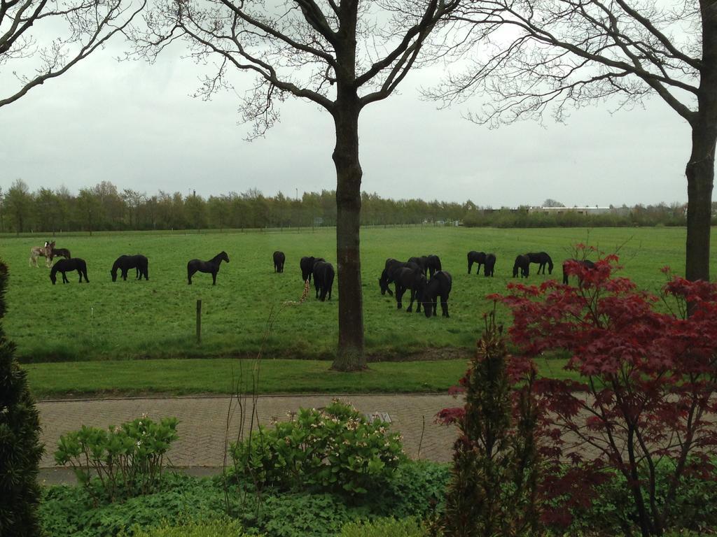 B&B Gaasterland Harich Exteriör bild